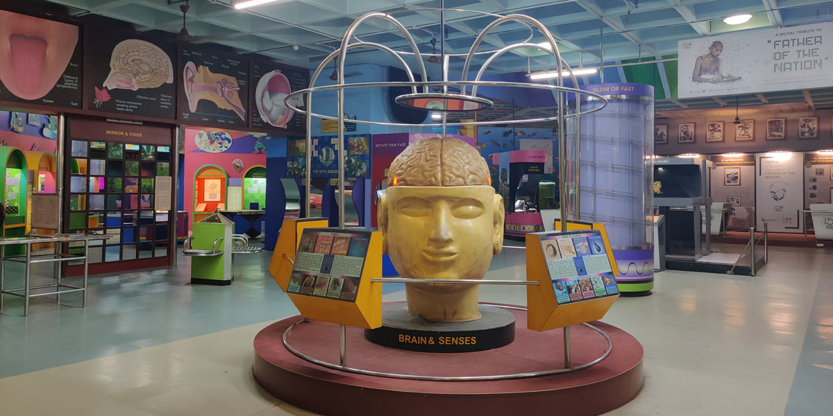 Brain and Senses Exhibit